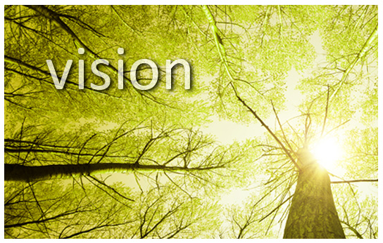 Binary Systems Vision Binary Systems Vision